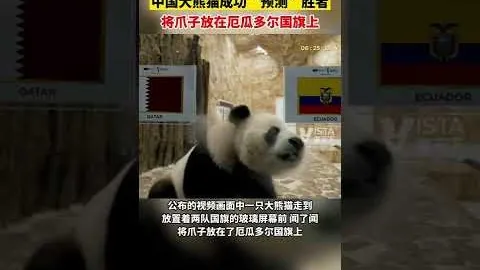 约基奇本赛季场均贡献29.3分12.8板10.3助，命中率超五成，表现惊艳！